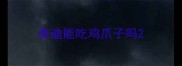 泰迪能吃鸡爪子吗