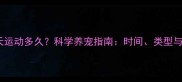 拉布拉多每天运动多久科学养宠指南时间类型与注意事项全