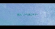 藏獒几个月开始长牙