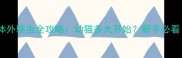 猫咪体外驱虫全攻略幼猫多大开始新手必看