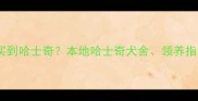 龙岩哪里能买到哈士奇本地哈士奇犬舍领养指南及价格全