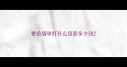要给猫咪打什么疫苗多少钱