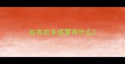 拉布拉多感冒有什么
