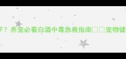 哈士奇误饮白酒后拉肚子养宠必看白酒中毒急救指南宠物健康哈士奇养护白酒中毒