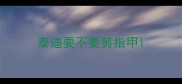 泰迪要不要剪指甲