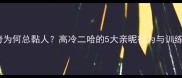 哈士奇为何总黏人高冷二哈的5大亲昵行为与训练技巧