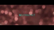 猫几个月头不长了