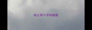 哈士奇十字和桃脸