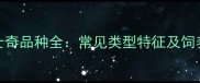 8大哈士奇品种全常见类型特征及饲养指南