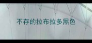 不存的拉布拉多黑色