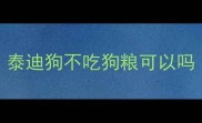 泰迪狗不吃狗粮可以吗
