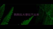 狗狗拉大便拉不出来