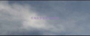 拉布拉多营养自制狗粮