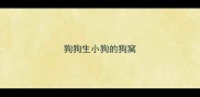 狗狗生小狗的狗窝