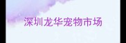 深圳龙华宠物市场