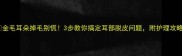 金毛耳朵掉毛别慌3步教你搞定耳部脱皮问题附护理攻略