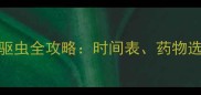 两个月大幼犬驱虫全攻略时间表药物选择与常见误区
