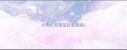 小狗打完疫苗后发高烧
