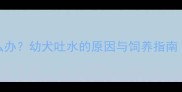 小狗呕吐水样物怎么办幼犬吐水的原因与饲养指南附专业兽医建议