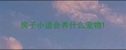 房子小适合养什么宠物