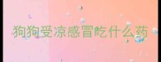 狗狗受凉感冒吃什么药