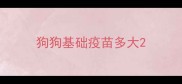 狗狗基础疫苗多大