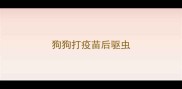 狗狗打疫苗后驱虫