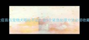狂犬疫苗后宠物犬呕吐不止这5个紧急处理方法必须收藏