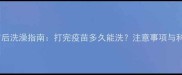 犬类疫苗后洗澡指南打完疫苗多久能洗注意事项与科学护理