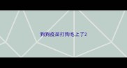 狗狗疫苗打狗毛上了