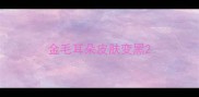 金毛耳朵皮肤变黑