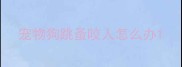 宠物狗跳蚤咬人怎么办