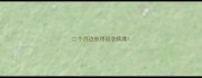 二个月边牧得冠状病毒