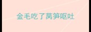 金毛吃了莴笋呕吐