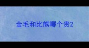 金毛和比熊哪个贵