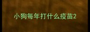 小狗每年打什么疫苗