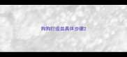 狗狗打疫苗具体步骤