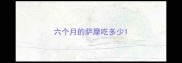 六个月的萨摩吃多少