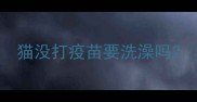 猫没打疫苗要洗澡吗