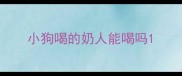 小狗喝的奶人能喝吗
