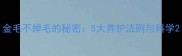 金毛不掉毛的秘密5大养护法则与科学