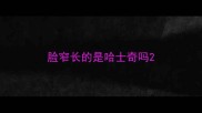 脸窄长的是哈士奇吗