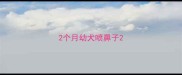 2个月幼犬喷鼻子