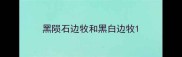 黑陨石边牧和黑白边牧