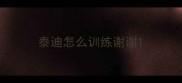 泰迪怎么训练谢谢