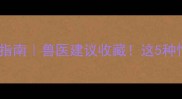 哈士奇腹水紧急处理指南兽医建议收藏这5种情况必须立即送医