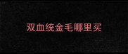 双血统金毛哪里买