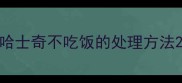 哈士奇不吃饭的处理方法
