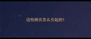 边牧肺炎怎么引起的