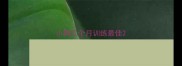 小狗几个月训练最佳